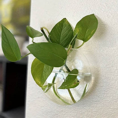 FloraFlow® Wall Vase