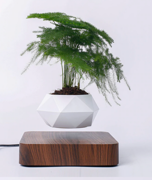 Levitating Plant Pot